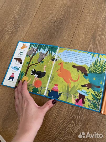 Книги « найди и покажи»