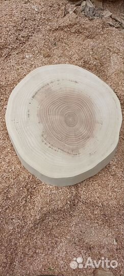 Спилы клена