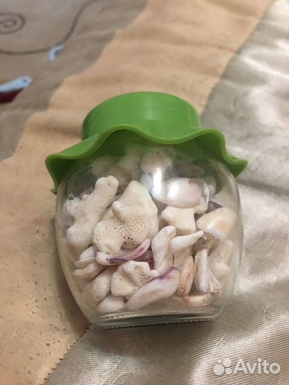 Баночка с кораллами