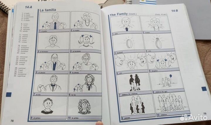 Учебник по изучению испанской лексики