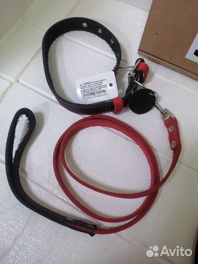 Ошейник и поводок