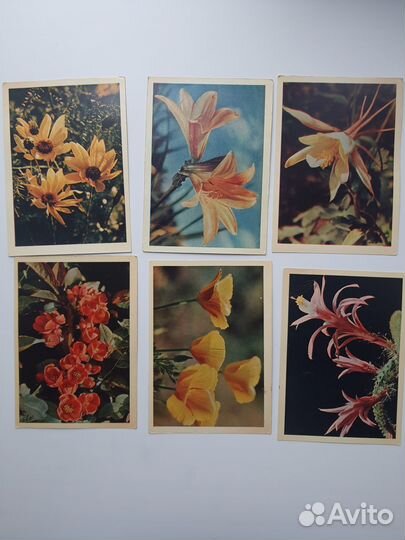 Почтовые карточки. 1964г