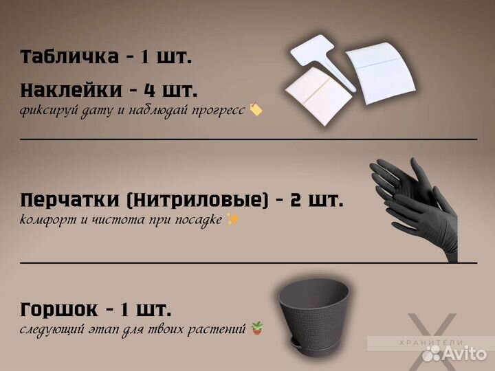 Набор для выращивания растений - Киви, 30 семян