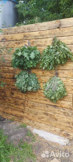 Банные веники