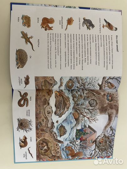 Книга зима находилки Бьянка Минте Кенинг