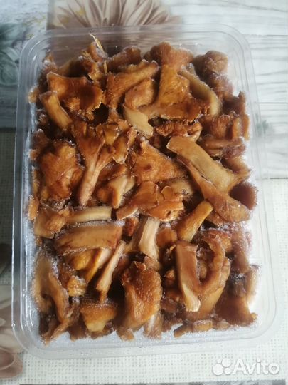 Грибы лисички