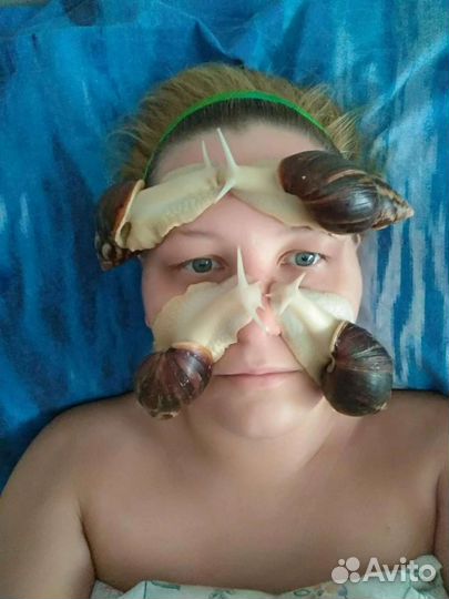 Массаж африканскими улитками