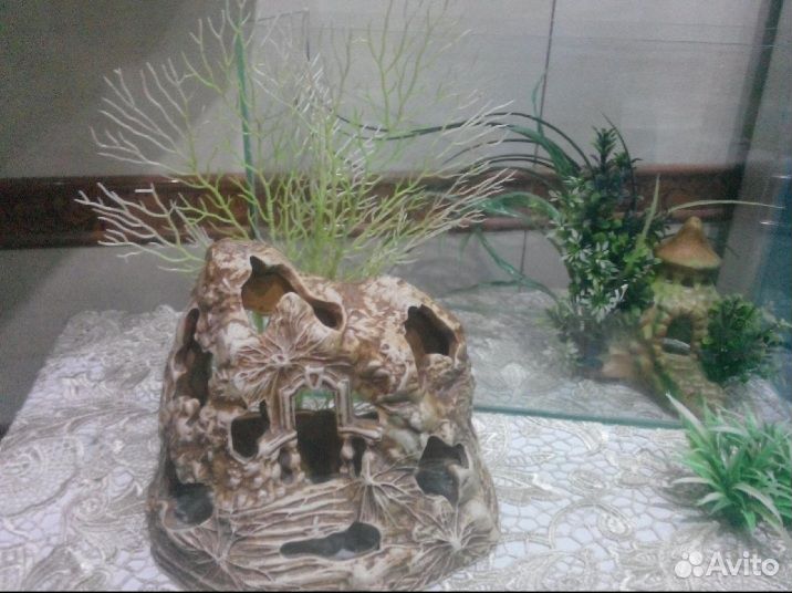 Аквариум + декор в подарок