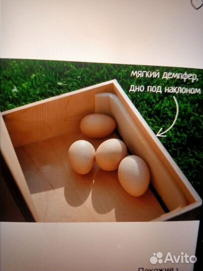 Гнездо для кур с яйцесборником