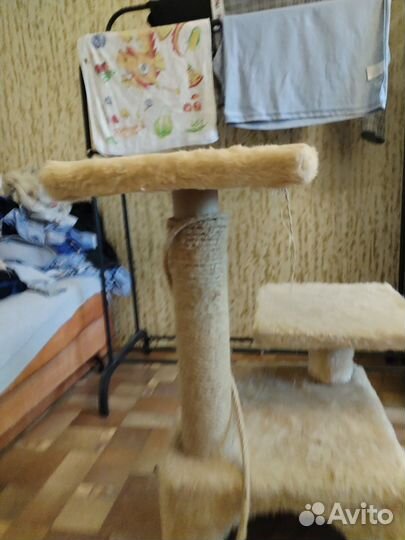 Когтеточка для кошек бу