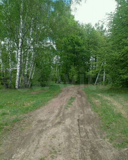 Участок 25 сот. (СНТ, ДНП)