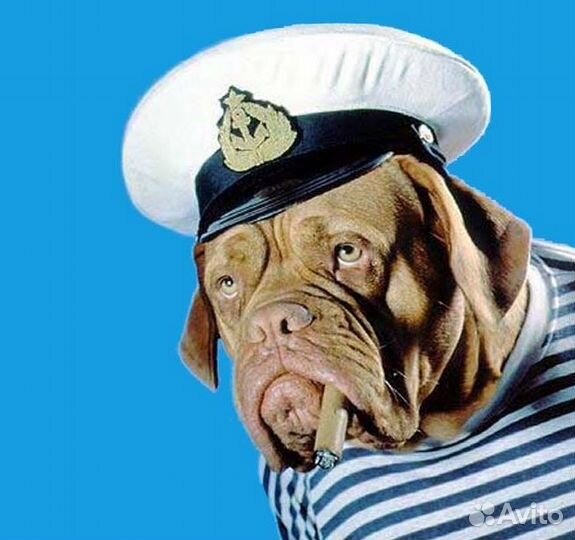 Одежда для собак. Тельняшка для собак