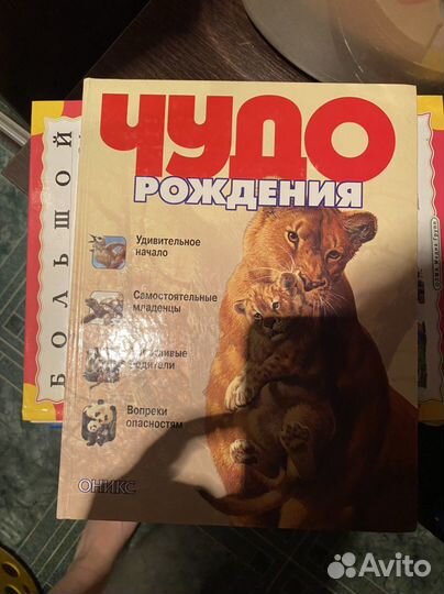 Детские энциклопедии