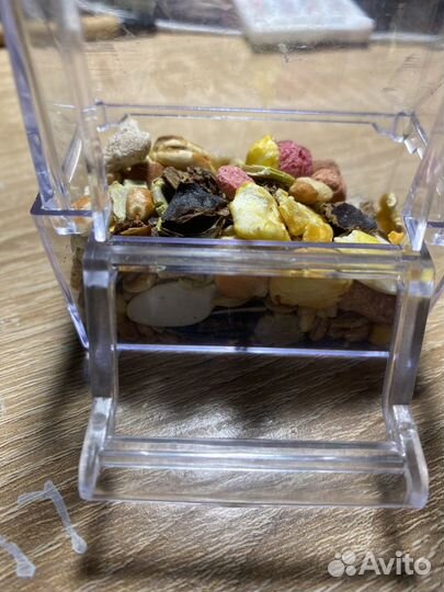 Миски для попугаев