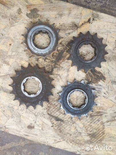 Ведущая Звезда Иж