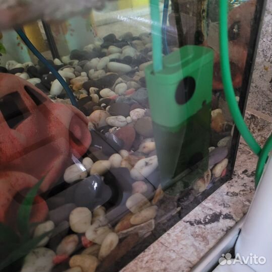 Аквариум с рыбками