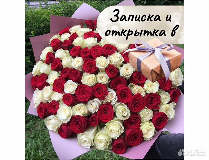 Розы цветы букеты с доставкой 101 51 31 роза