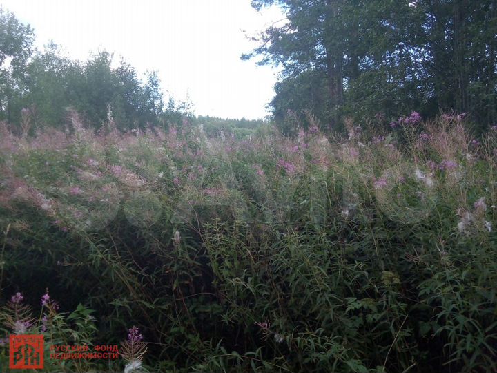 Участок 10 сот. (СНТ, ДНП)