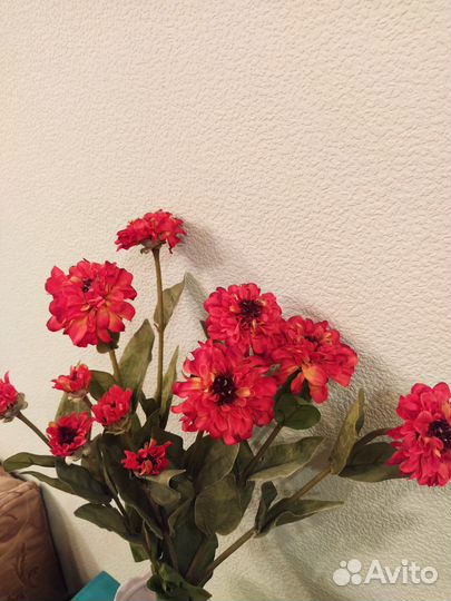 Три ветки цветов циннии Лапти старинные