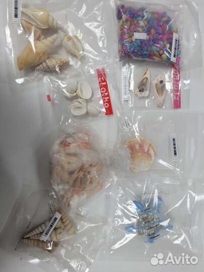 Ракушки и морская звезда