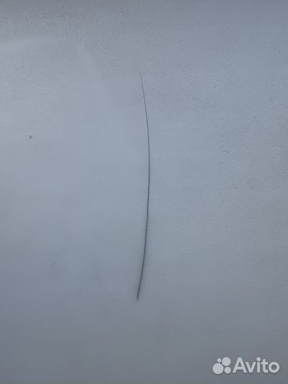 Кошачий чёрный ус