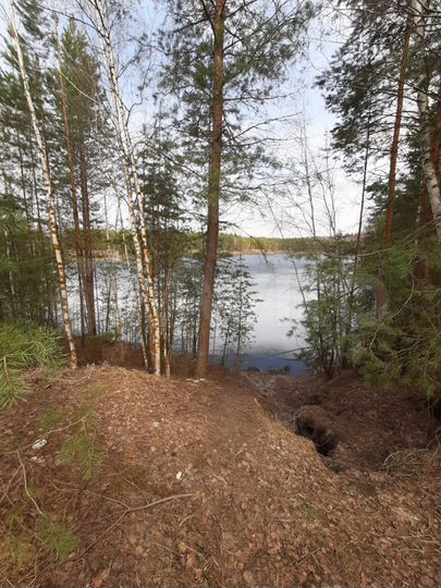 Дача 20 м² на участке 12 сот.