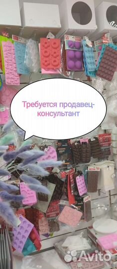 Продавец консультант