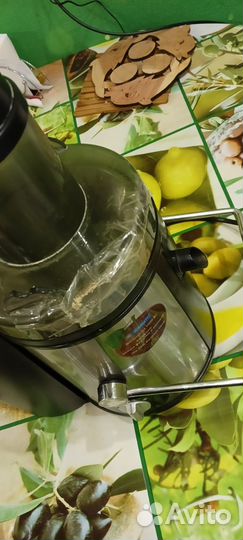 Соковыжималка Scarlett sc-013