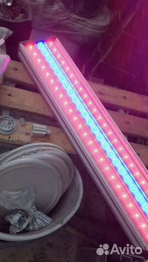 Фитолампа светодиодная