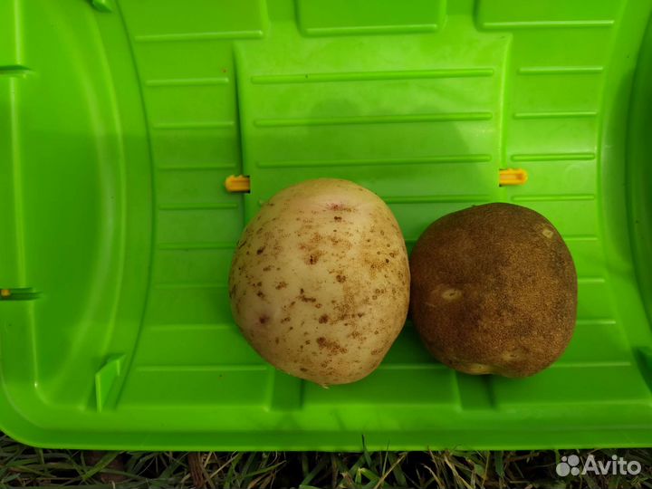 Продукты питания