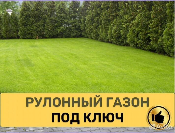 Стандарт рулонный газон