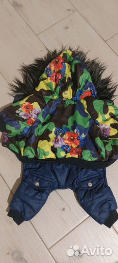 Комбинезон для маленькой собаки