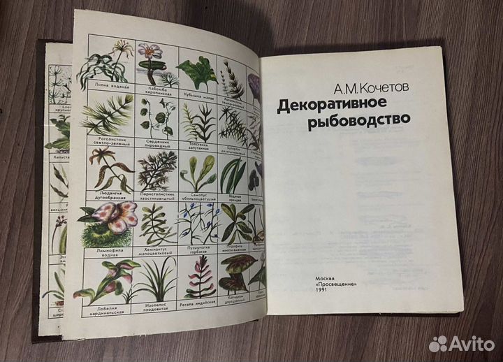 Декоративное рыбоводство