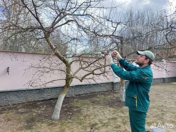 Услуги садовника/агронома, обрезка и уход за садом