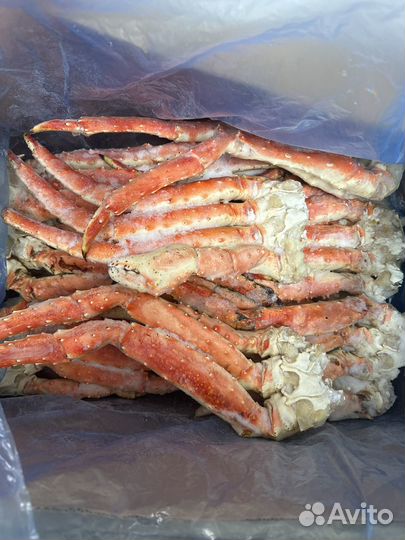 Краб Камчатский 2024