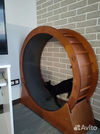 Беговое колесо для кошек