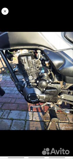 Мотоцикл Рейсер Тигр 150-23