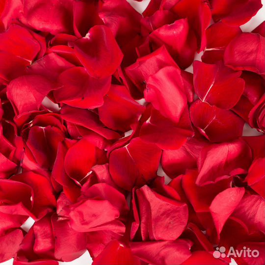 Лепестки роз 3 литра