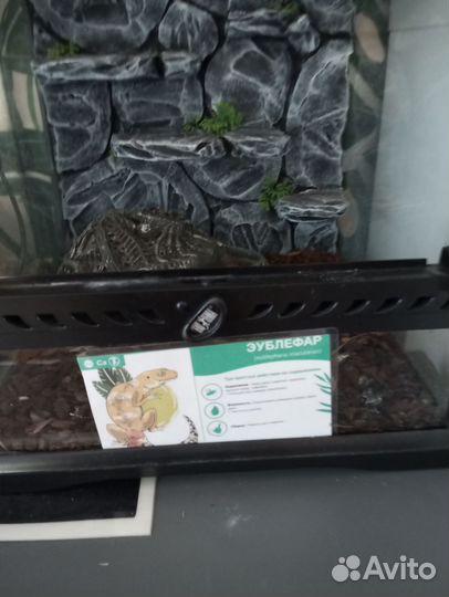 Террариумы exo Terra