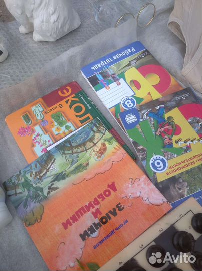 Школьные книги