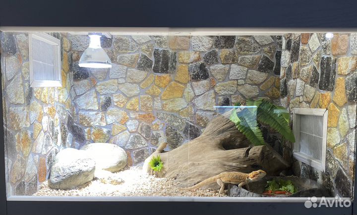 Террариум для рептилий