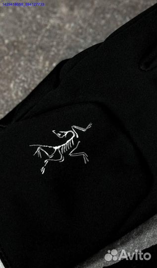 Перчатки Arcteryx Gore-Tex (Арт.15869)