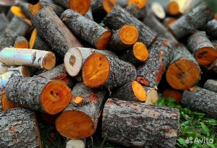 Дрова со Всеволожска