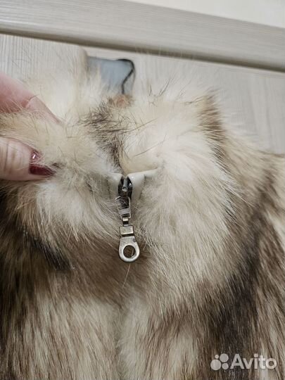 Шуба лиса полушубок