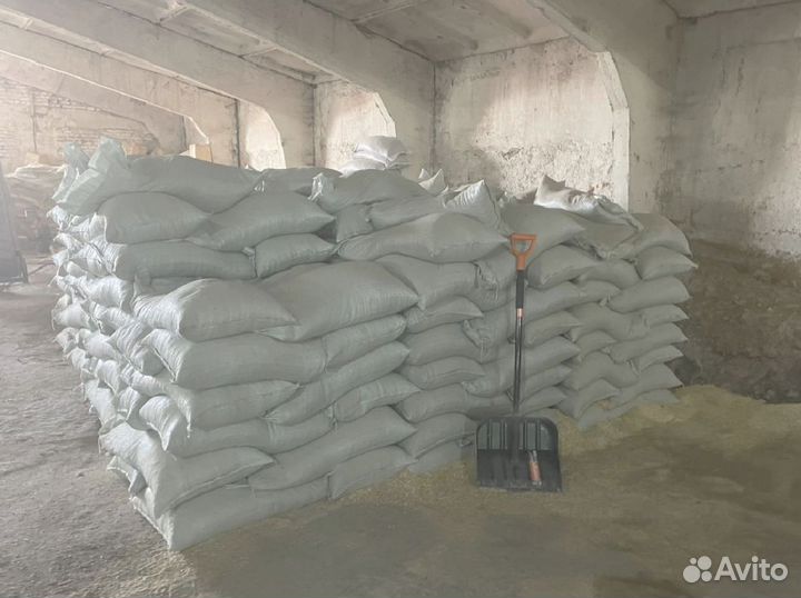 Зерно Ячмень