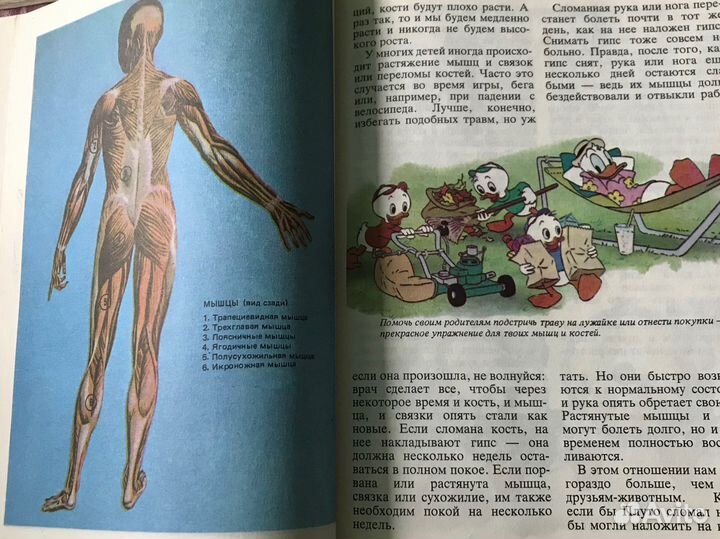 Расти здоровым