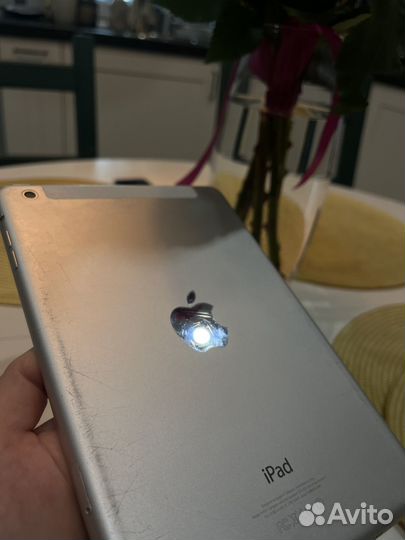 iPad mini 1