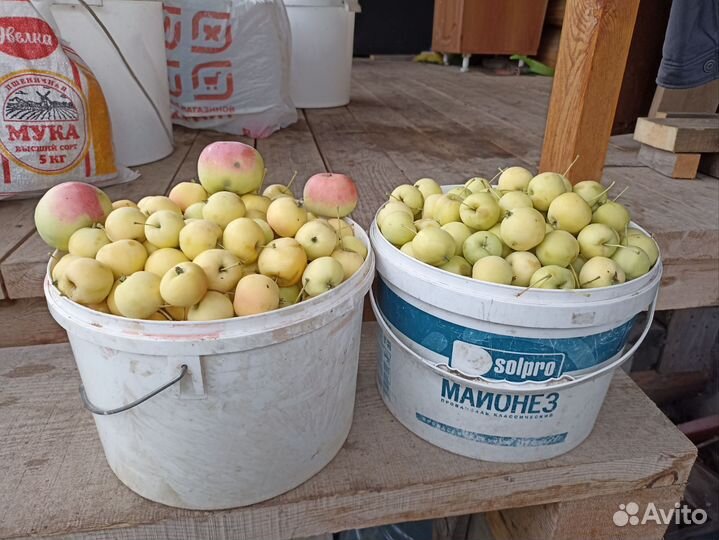 Сок яблочный