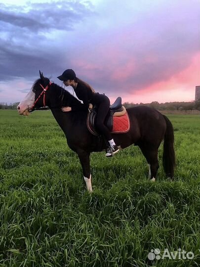 Конные прогулки, фотосессии