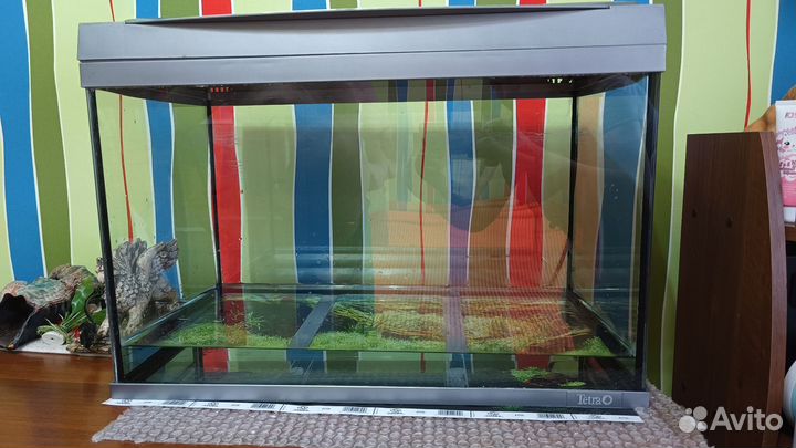Аквариум